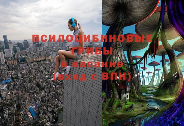 СК Абинск