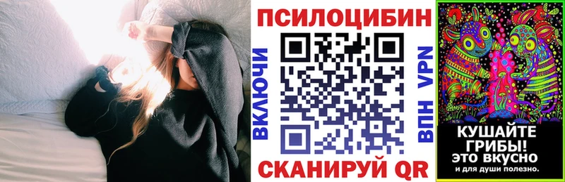 Псилоцибиновые грибы Magic Shrooms  сколько стоит  Алейск 