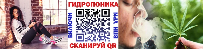 сайты даркнета клад  Алейск  Шишки марихуана тримм 